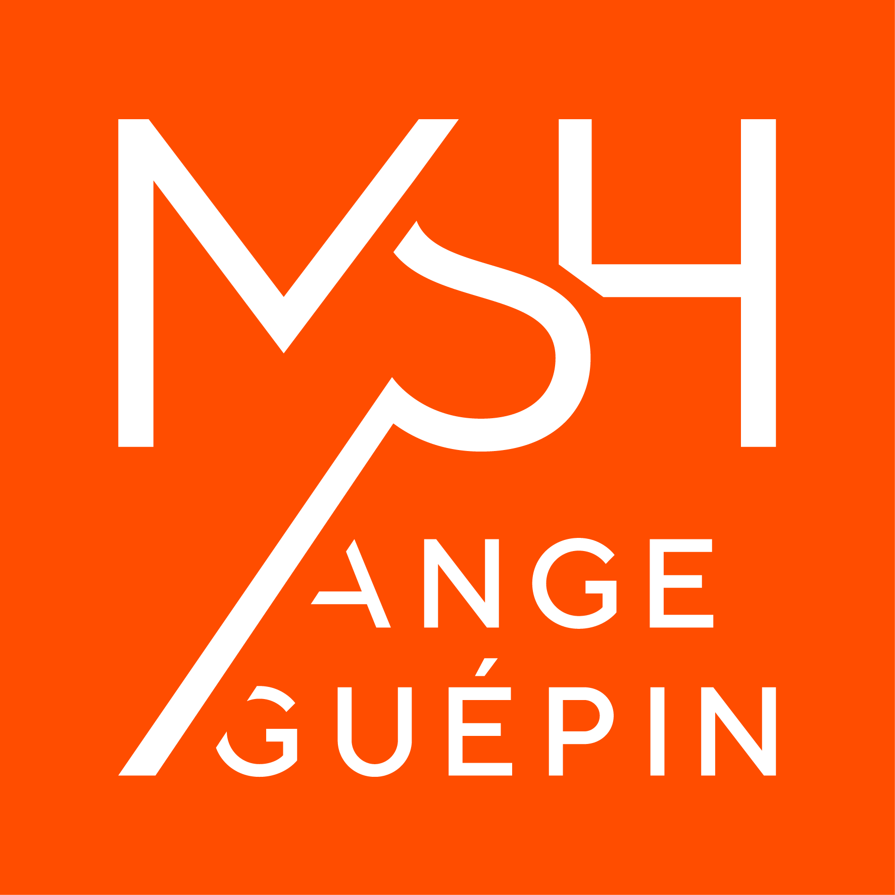 Logo MSH